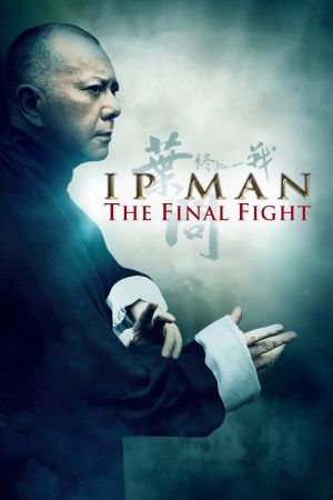 Ip Man - Final Fight