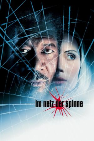 Im Netz der Spinne