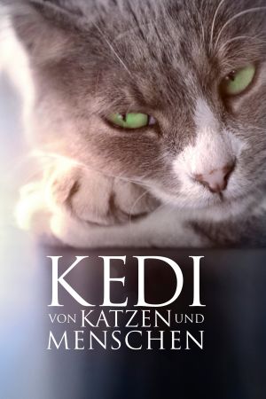 Kedi: Von Katzen und Menschen