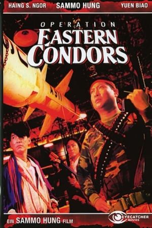 Operation Eastern Condors