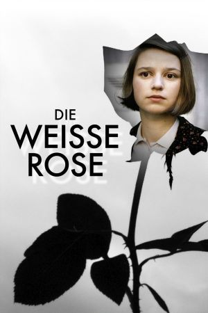 Die weiße Rose