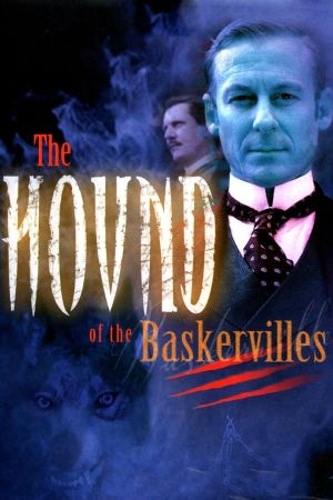 Der Hund der Baskervilles