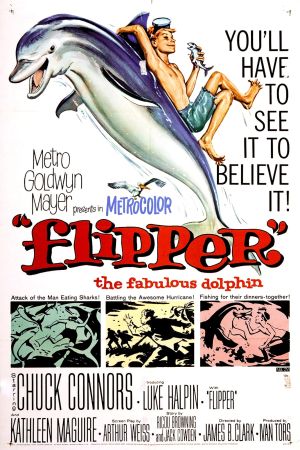 Flipper