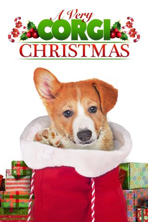 A Very Corgi Christmas - Liebe auf vier Pfoten